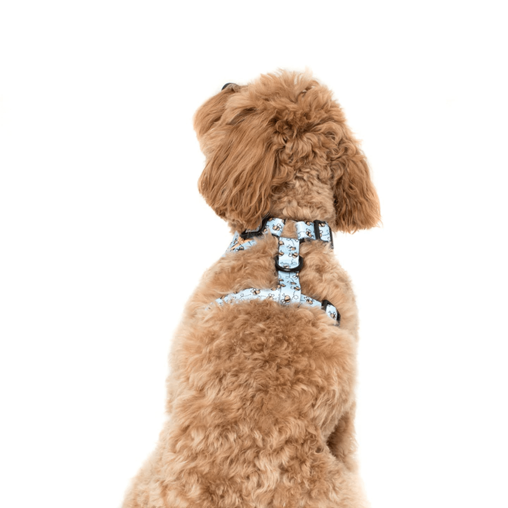 Pablo & Co Winnie the Pooh & Bee's: Adjustable Harness - Adjustable Harnesses from Pablo & Co Disney at DoggyTopia