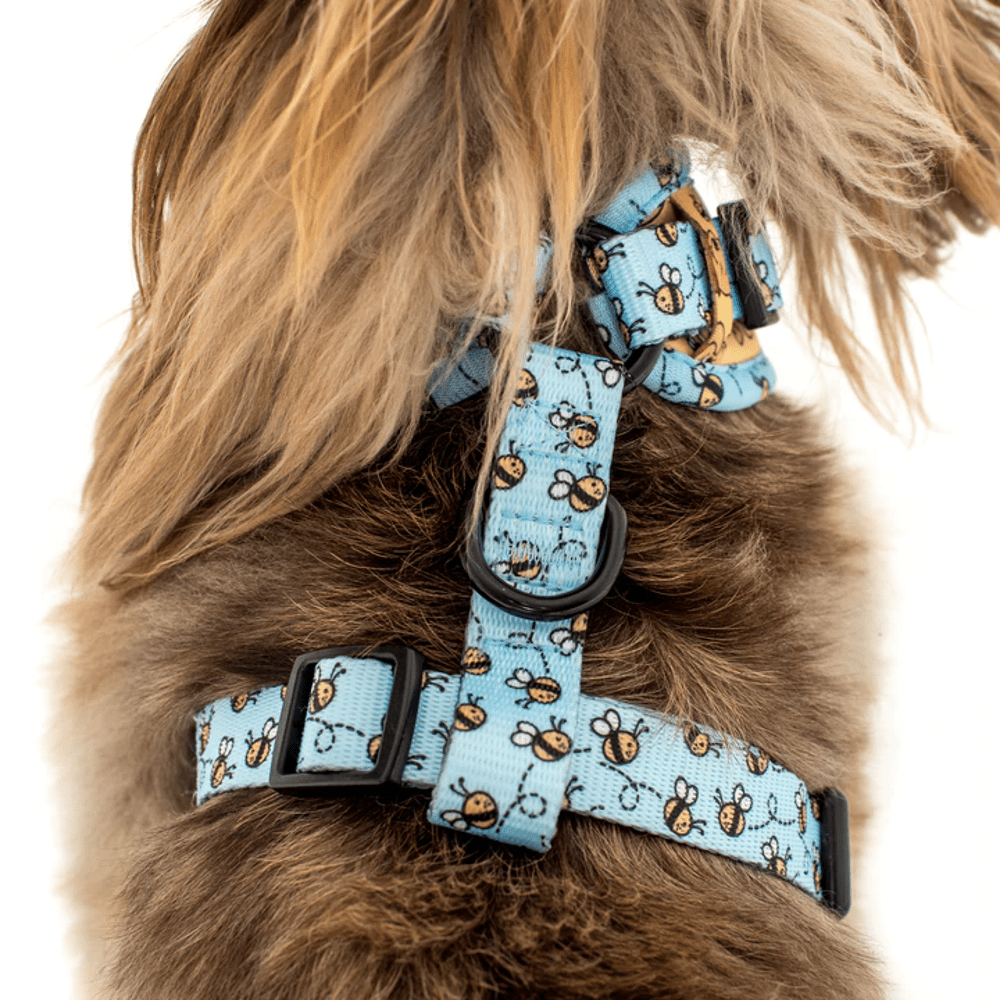 Pablo & Co Winnie the Pooh & Bee's: Adjustable Harness - Adjustable Harnesses from Pablo & Co Disney at DoggyTopia
