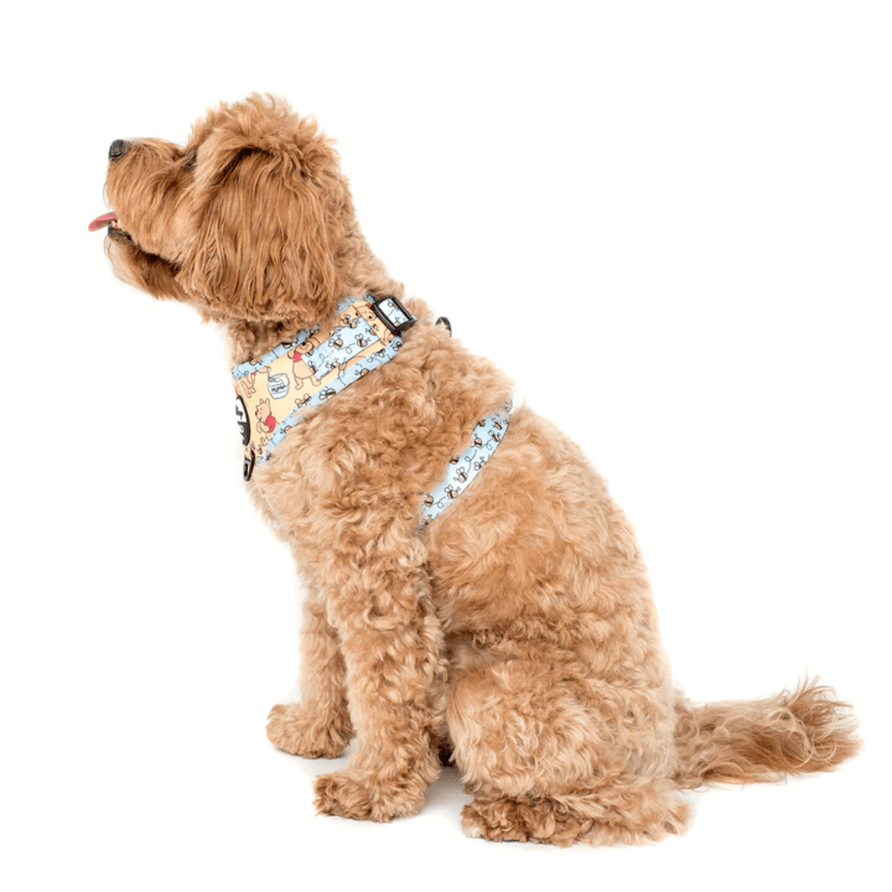 Pablo & Co Winnie the Pooh & Bee's: Adjustable Harness - Adjustable Harnesses from Pablo & Co Disney at DoggyTopia