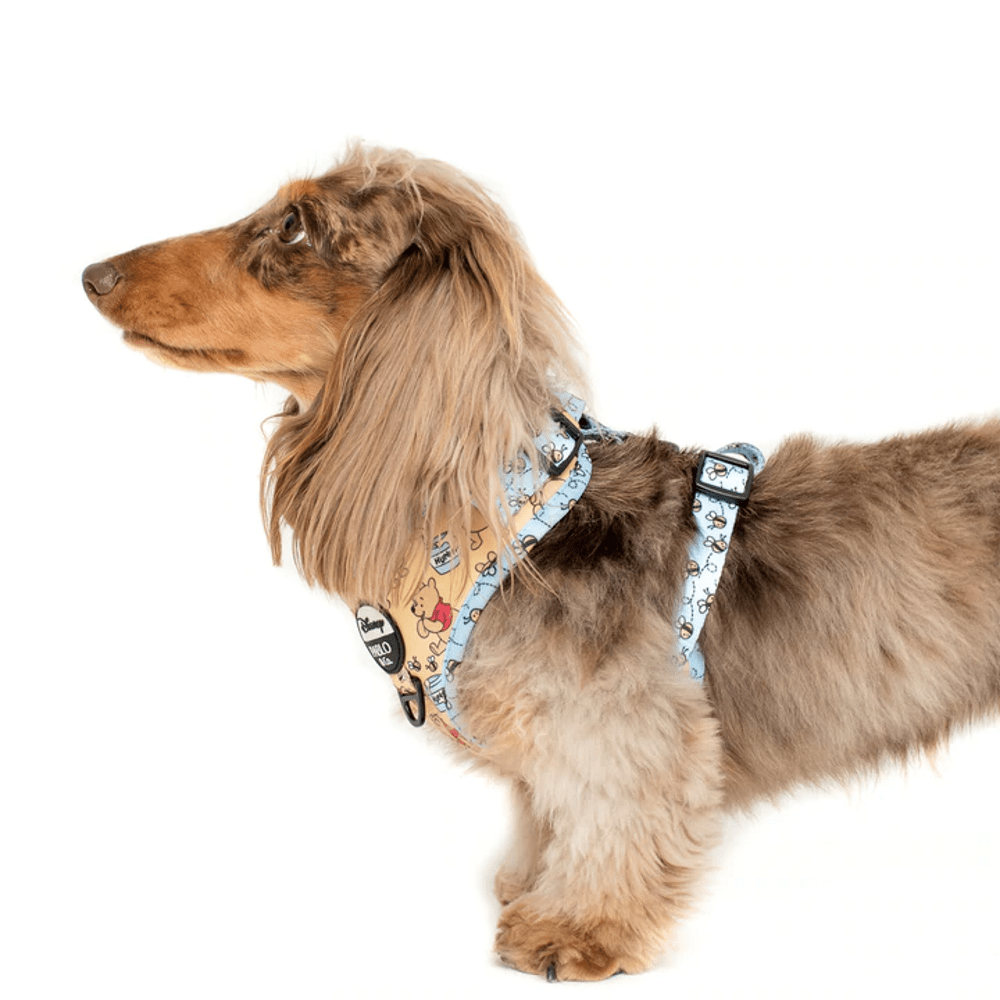 Pablo & Co Winnie the Pooh & Bee's: Adjustable Harness - Adjustable Harnesses from Pablo & Co Disney at DoggyTopia
