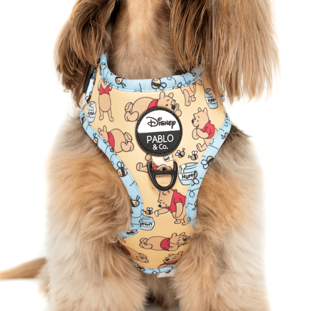 Pablo & Co Winnie the Pooh & Bee's: Adjustable Harness - Adjustable Harnesses from Pablo & Co Disney at DoggyTopia