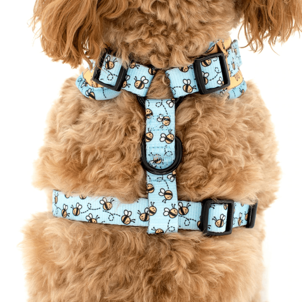 Pablo & Co Winnie the Pooh & Bee's: Adjustable Harness - Adjustable Harnesses from Pablo & Co Disney at DoggyTopia