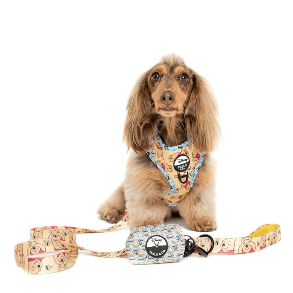 Pablo & Co Winnie the Pooh & Bee's: Adjustable Harness - Adjustable Harnesses from Pablo & Co Disney at DoggyTopia