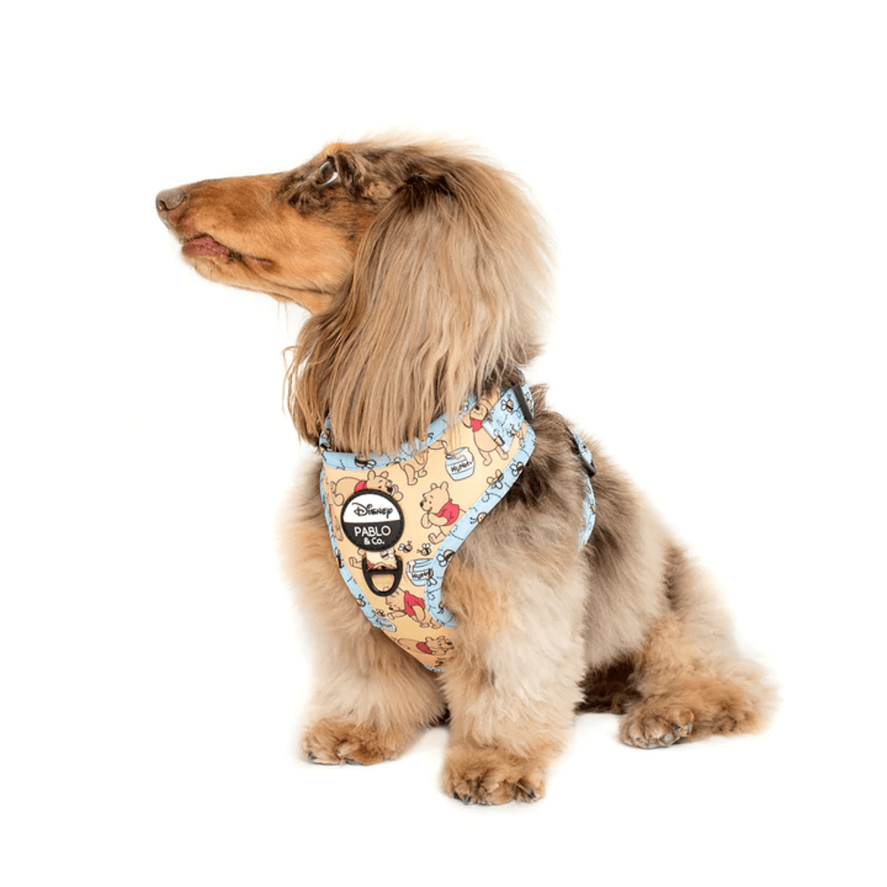 Pablo & Co Winnie the Pooh & Bee's: Adjustable Harness - Adjustable Harnesses from Pablo & Co Disney at DoggyTopia