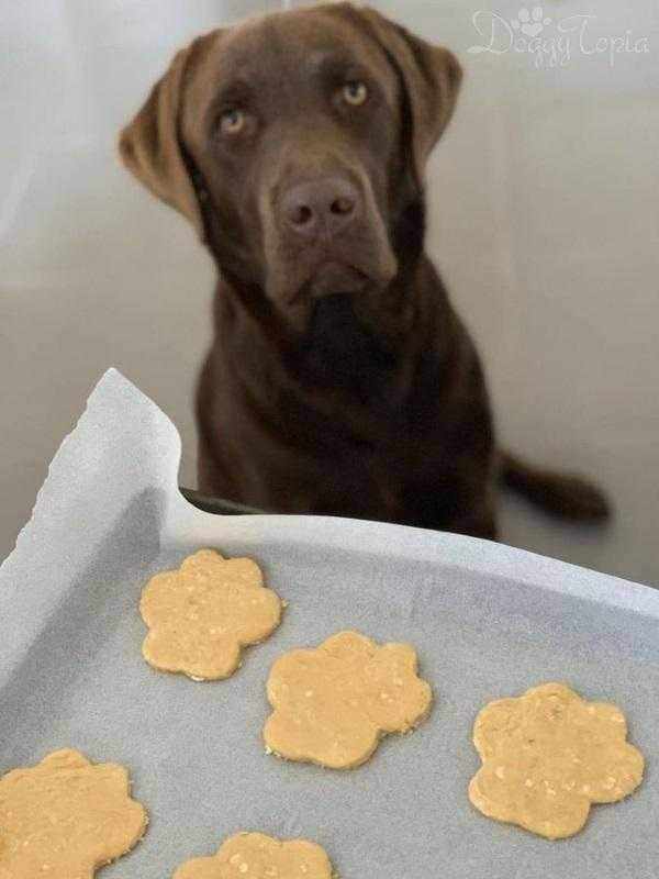 Paw Cookie Cutter Set - Cookie Cutters from . at DoggyTopia