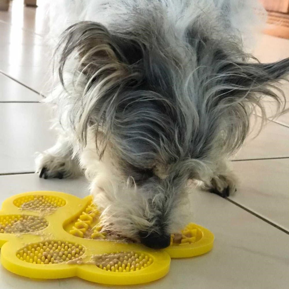 Paw Licky Mat - Licking Mats from . at DoggyTopia