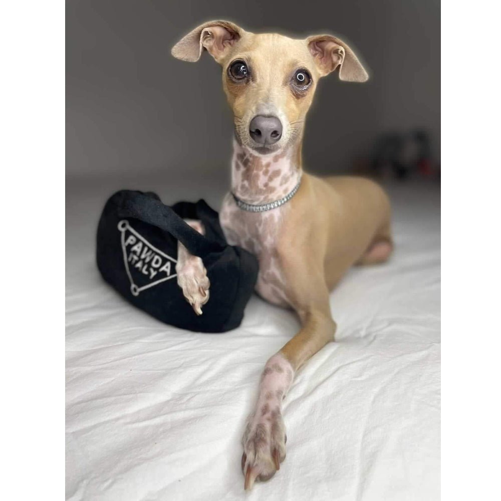 Pawda Handbag Dog Toy - Designer Toys from Haute Diggity Dog at DoggyTopia