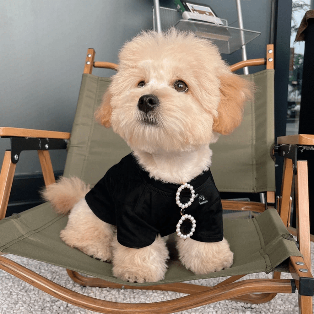 Pearl Dog Sunglasses - Sunglasses from . at DoggyTopia