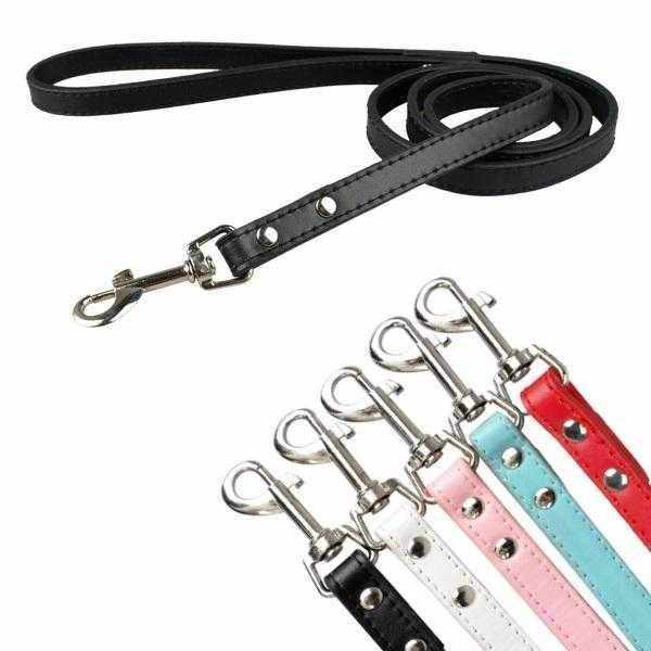 PU Leather Dog Leash - Leashes & Leads from . at DoggyTopia