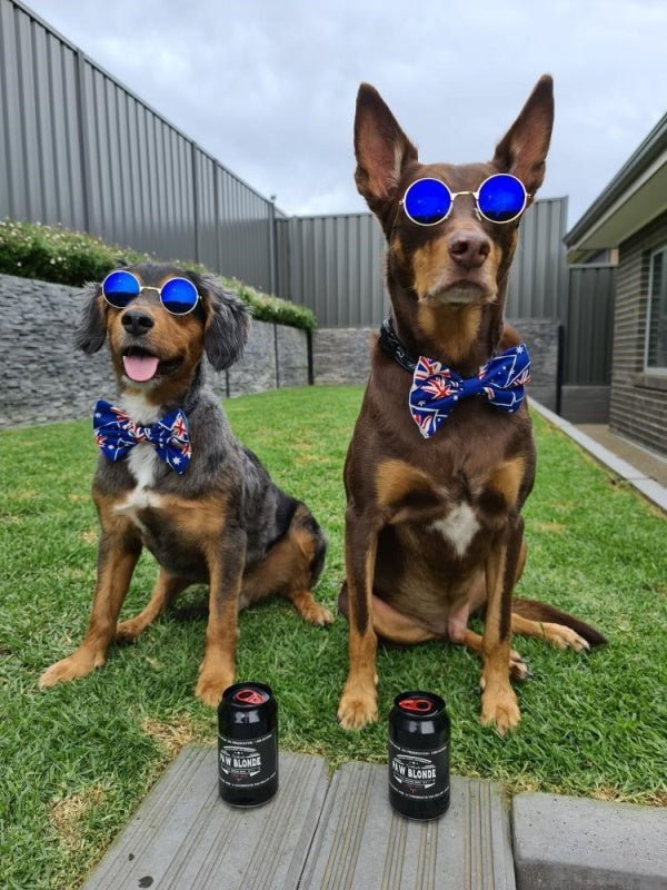 Round Fashion Dog Sunglasses - Sunglasses from . at DoggyTopia