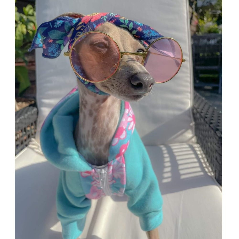 Round Fashion Dog Sunglasses - Sunglasses from . at DoggyTopia