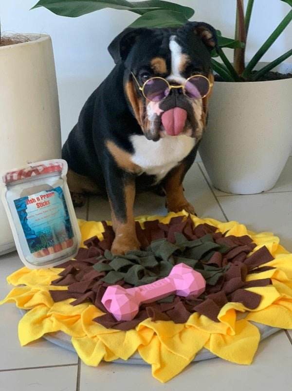 Round Fashion Dog Sunglasses - Sunglasses from . at DoggyTopia