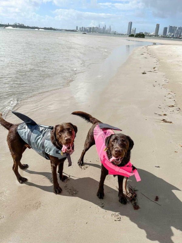 Shark Dog Life Jacket - Life Jackets from . at DoggyTopia