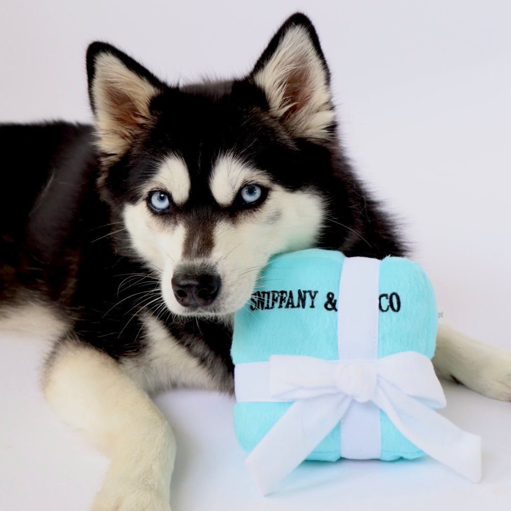 Sniffany & Co Box Dog Toy - Designer Toys from Dog Diggin Designs at DoggyTopia