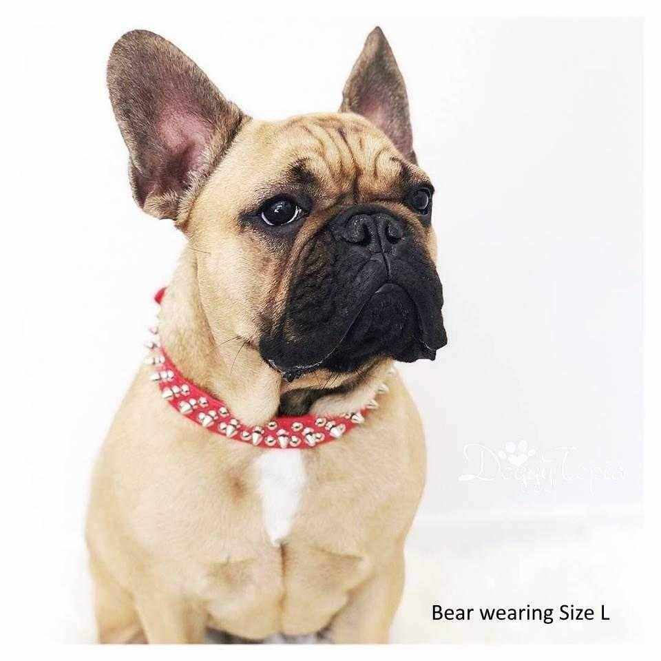 Spike Studded Dog Collar - Collars - Spiked from . at DoggyTopia