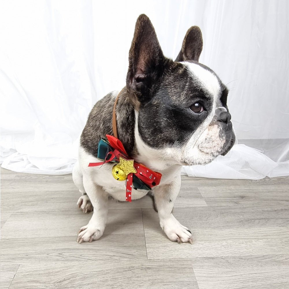 Star Bow Knot Christmas Collar - Christmas Collar & Bow Ties from Sale at DoggyTopia