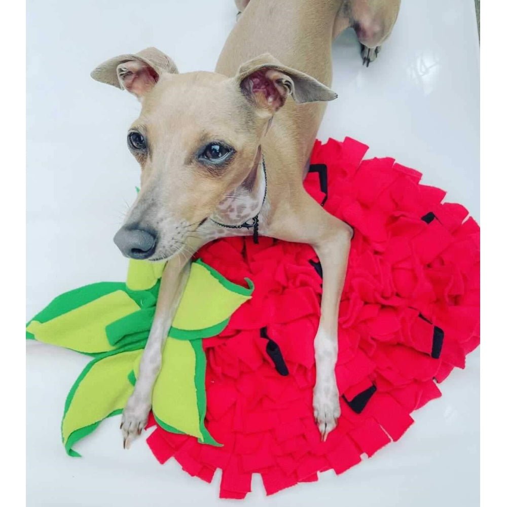 Strawberry Snuffle Mat - Snuffle Mats from . at DoggyTopia