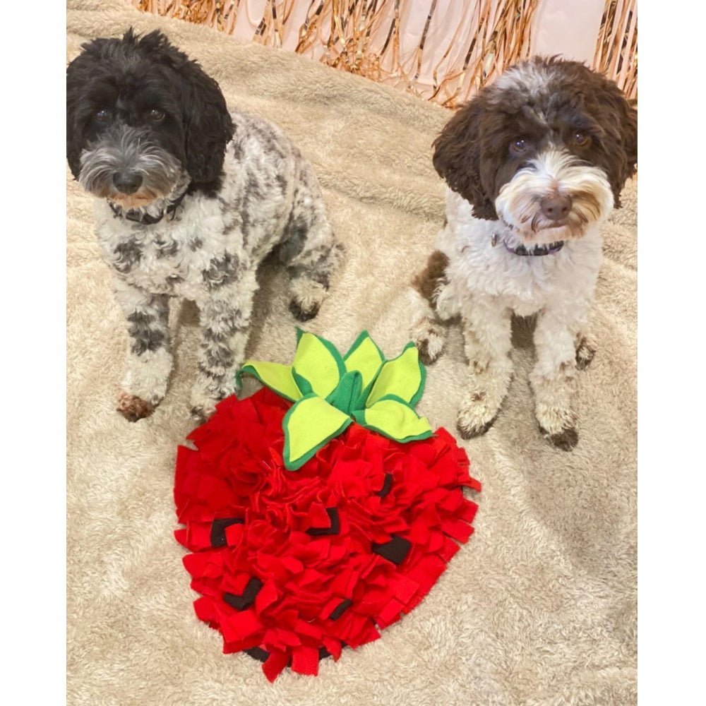 Strawberry Snuffle Mat - Snuffle Mats from . at DoggyTopia