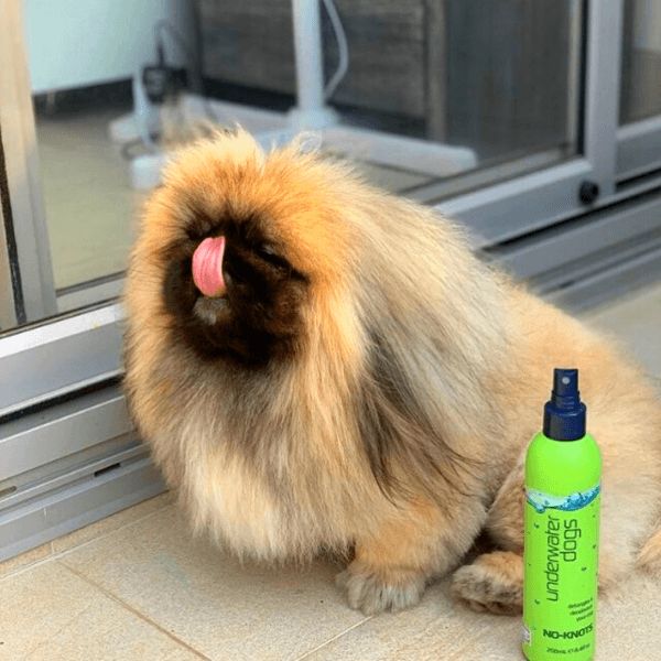 UNDERWATER DOGS No - Knots Detangler - Deodorisers & Detanglers from Underwater Dogs at DoggyTopia