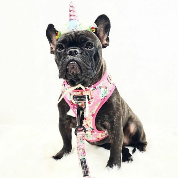 Unicorn Headpiece - Costumes from Halloween at DoggyTopia