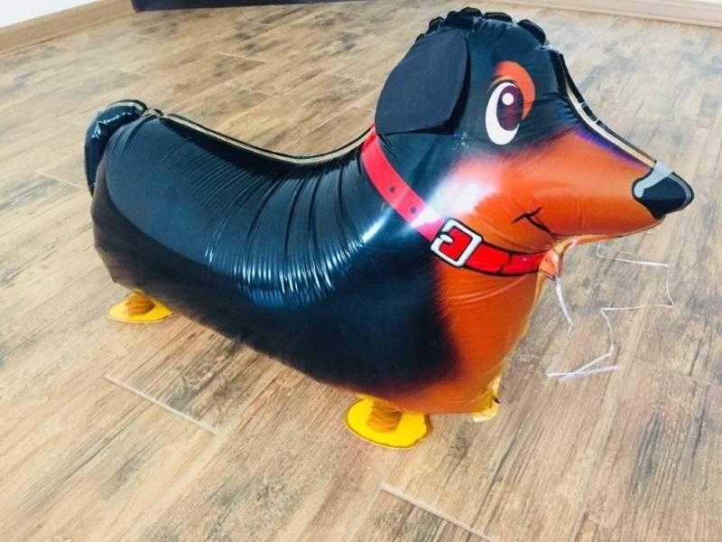 Walking Dachshund Foil Balloon - Party Balloons from Sale at DoggyTopia