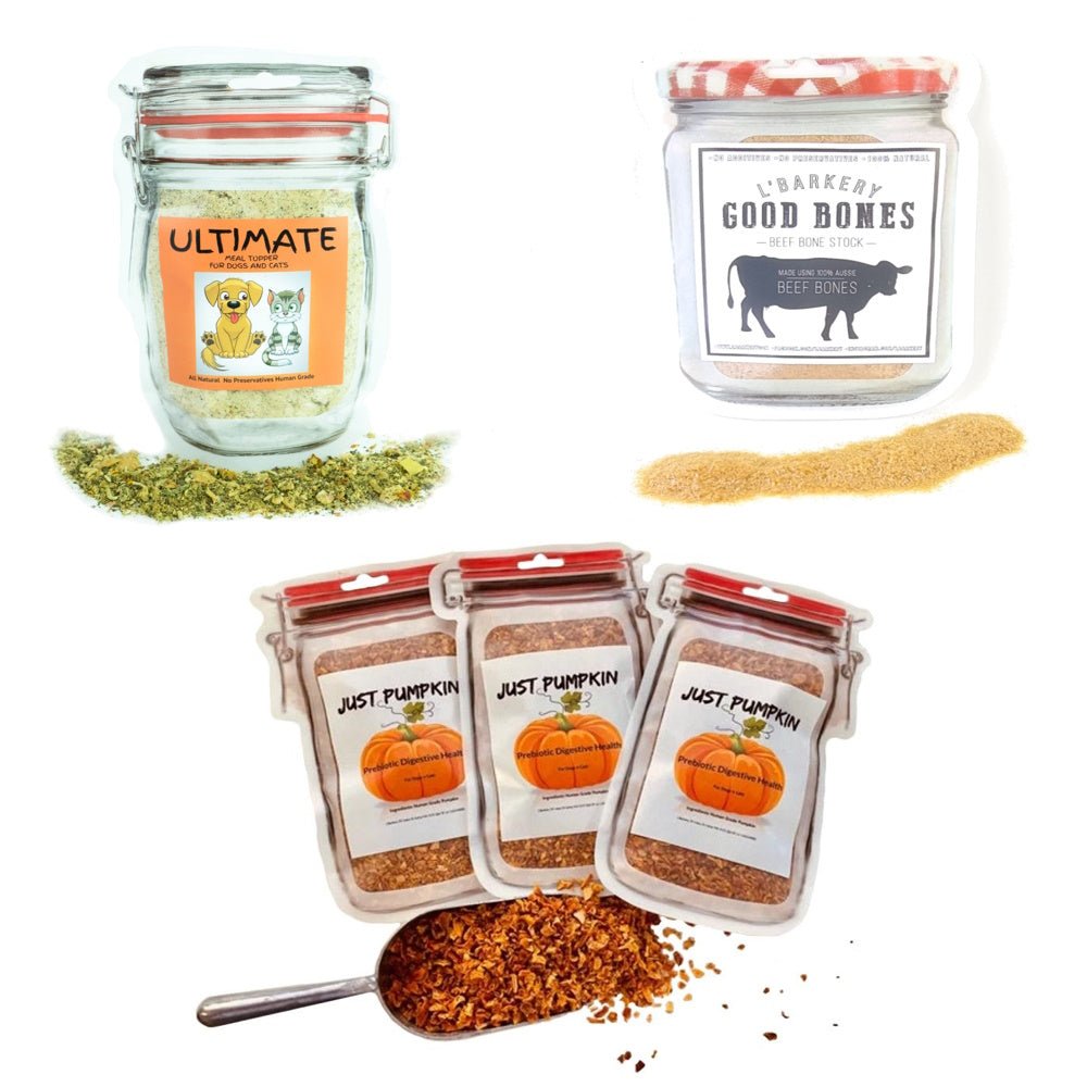 "Creative Ways to Use Dog Meal Toppers for Mealtime Success" - DoggyTopia