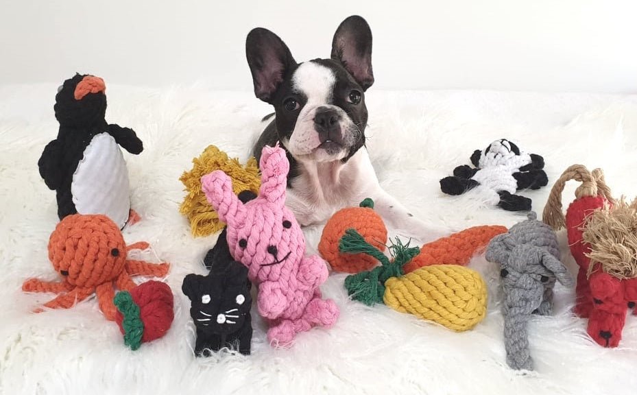 Rope Toys - This Common Dog Toy Might Surprise You - DoggyTopia