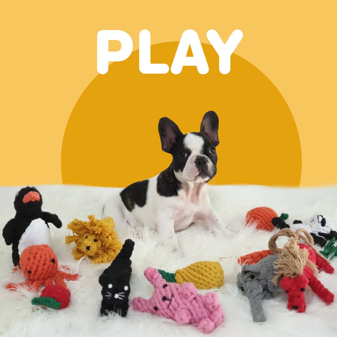 Shop Play at DoggyTopia