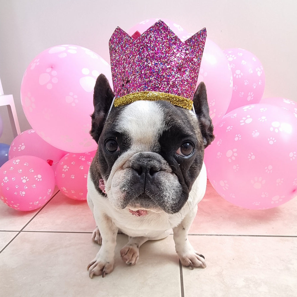 Dog Birthday Crown & Bow Tie Collar - Pink/gold Custom Age