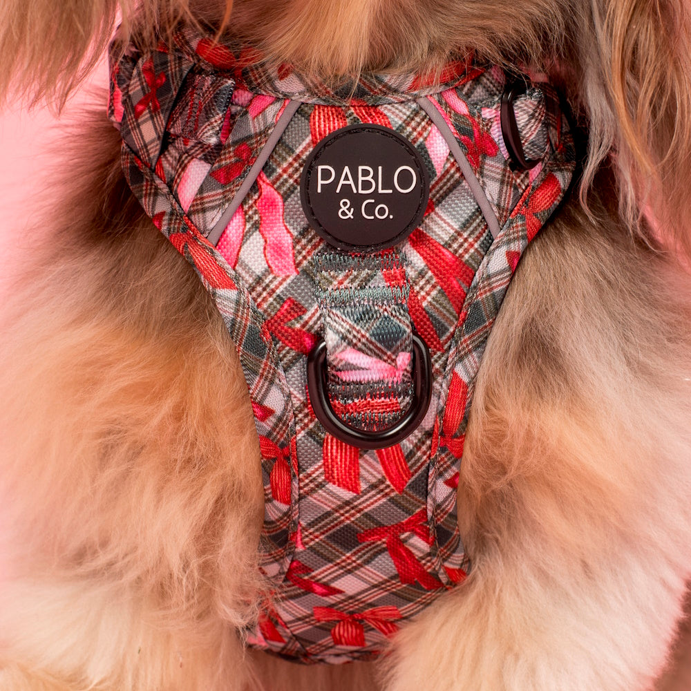 Pablo & Co Wrapped in Ribbons No Pull Dog Harness