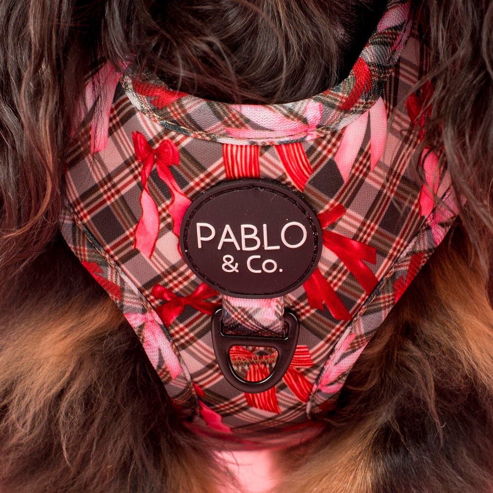 Pablo & Co Wrapped in Ribbons Adjustable Harness
