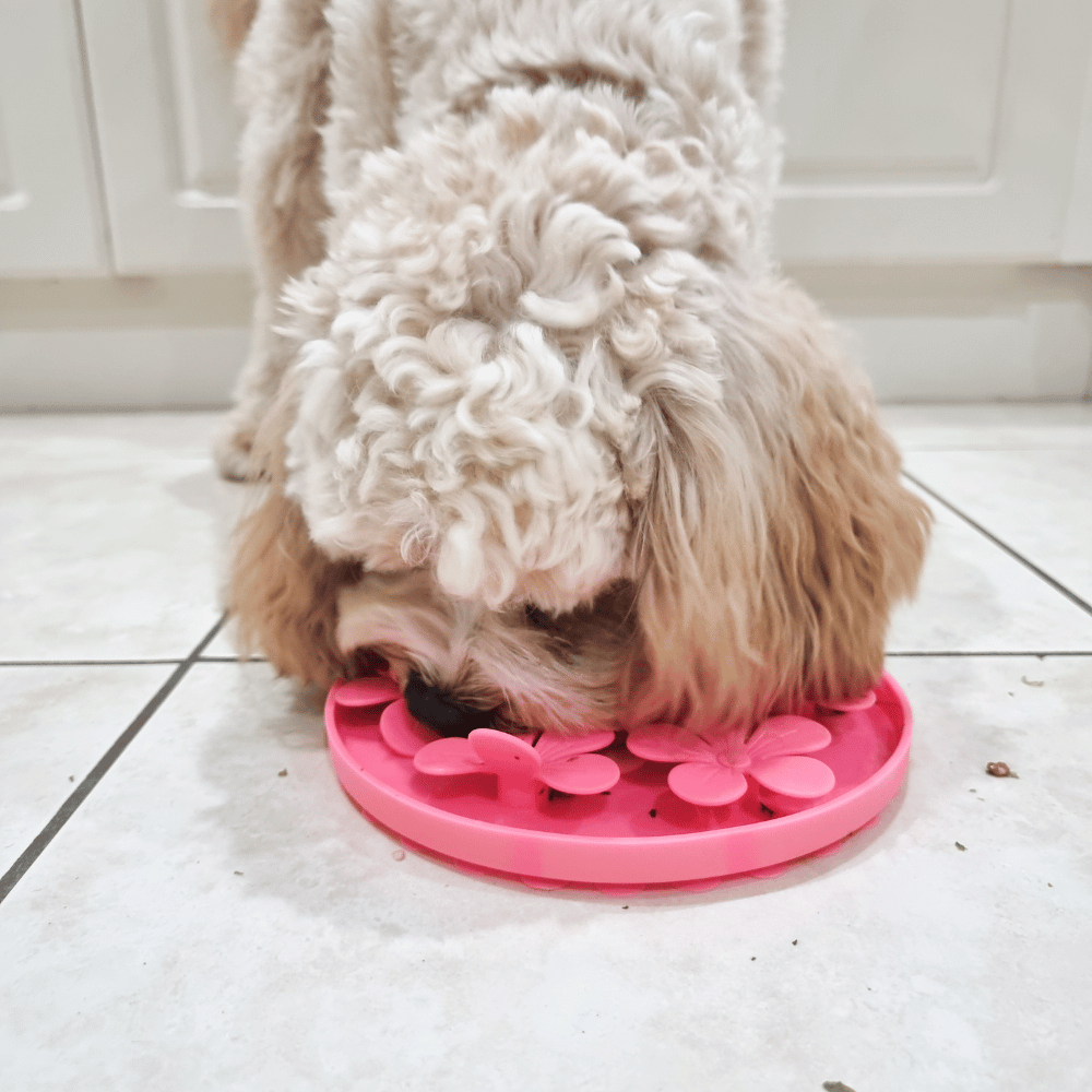 3D Flower Slow Feeder DoggyTopia DoggyTopia