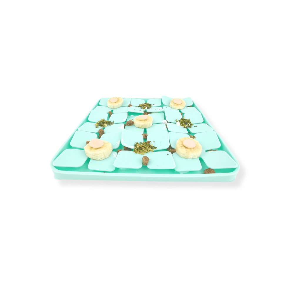 3D Clover Square Slow Feeder - Slow Feeding Bowls from Sale at DoggyTopia