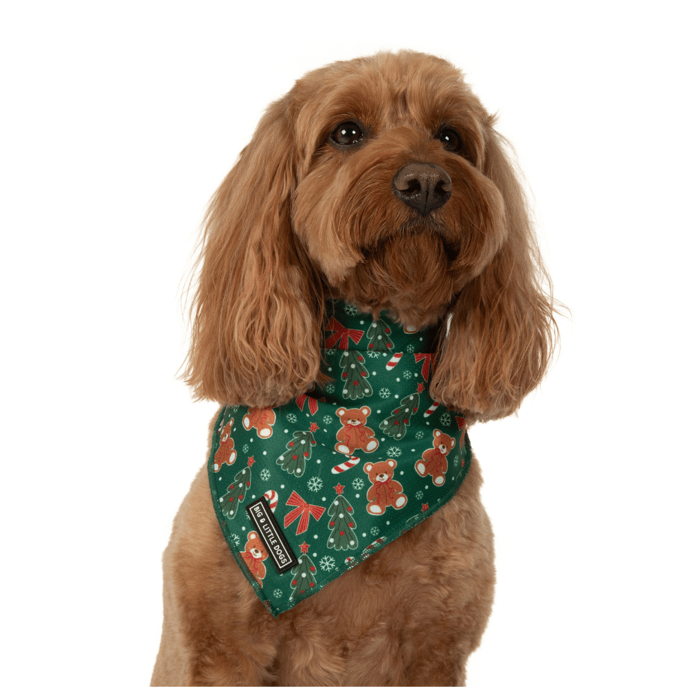 Big & Little Dogs A Beary Merry Christmas Bandana