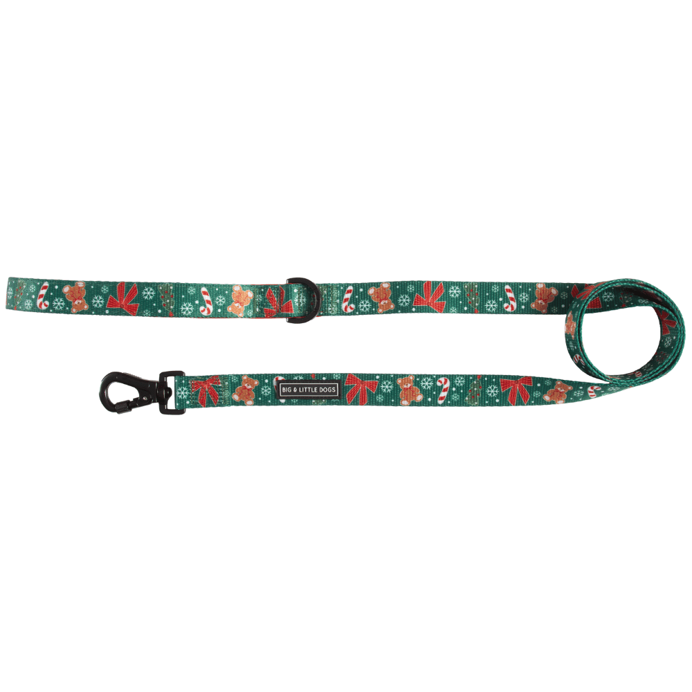 Big & Little Dogs A Beary Merry Christmas Dog Leash