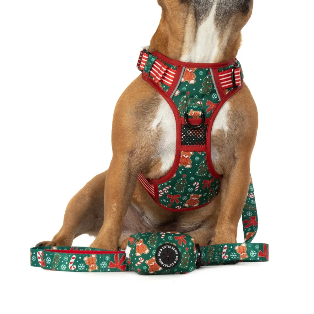 Big & Little Dogs A Beary Merry Christmas Poop Bag Holder
