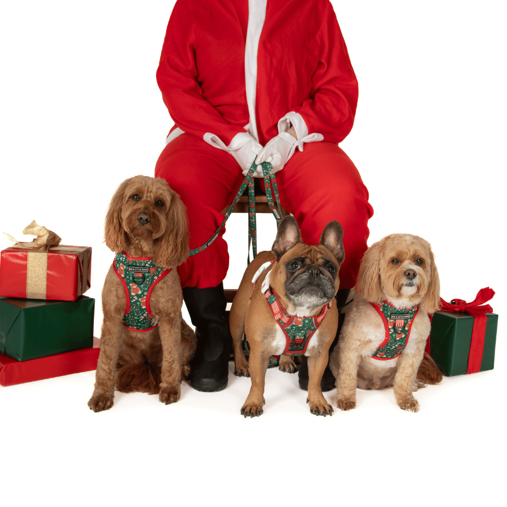 Big & Little Dogs A Beary Merry Christmas Poop Bag Holder