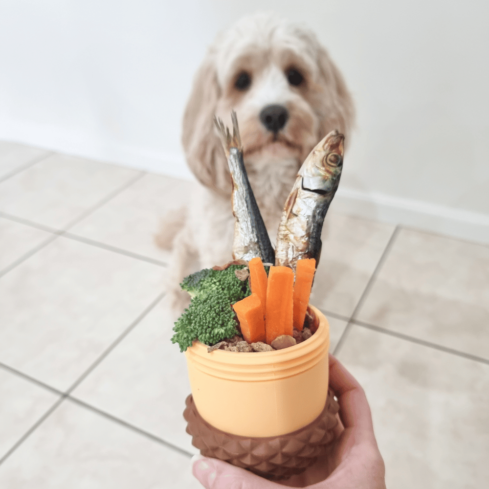 Enrichment Acorn Dog Toy