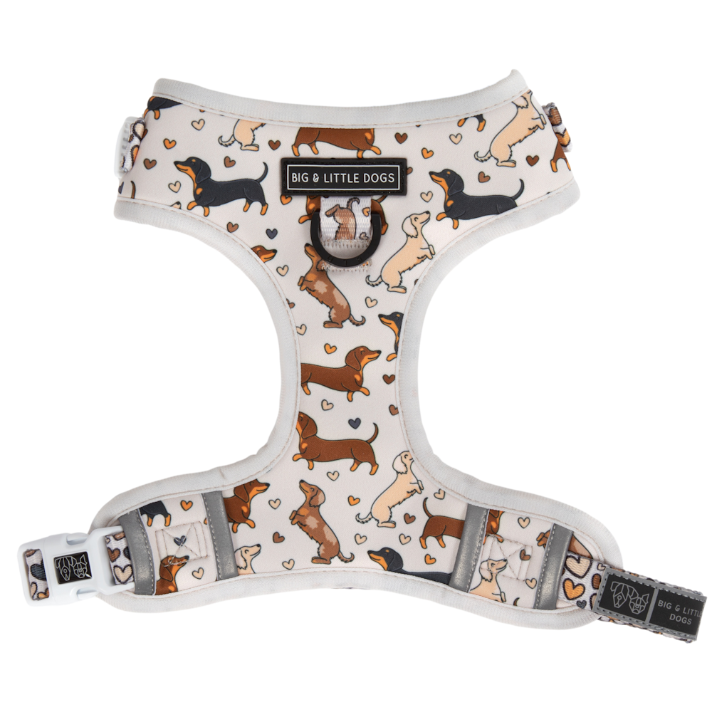 Big & Little Dogs Dashie Lovers Adjustable Harness