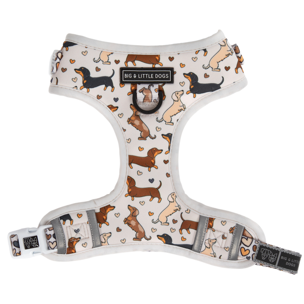 Big & Little Dogs Dashie Lovers Adjustable Harness