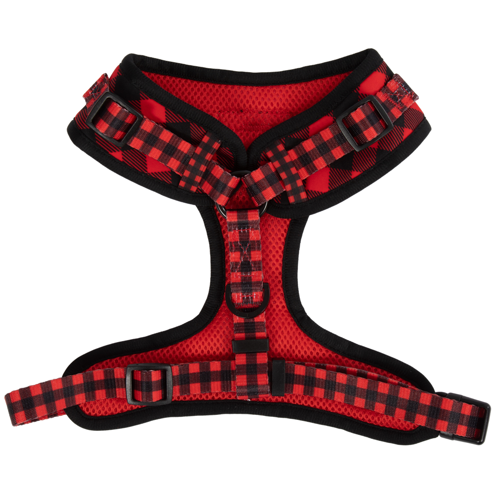 Big & Little Dogs Plaid to the Bone Adjustable Harness