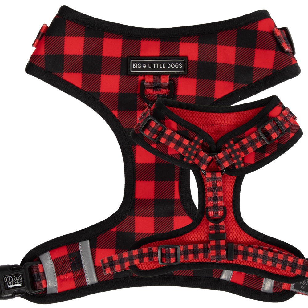 Big & Little Dogs Plaid to the Bone Adjustable Harness