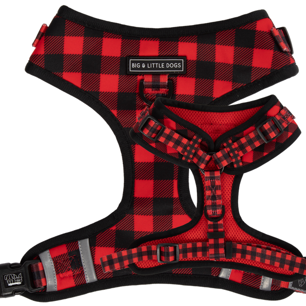 Big & Little Dogs Plaid to the Bone Adjustable Harness