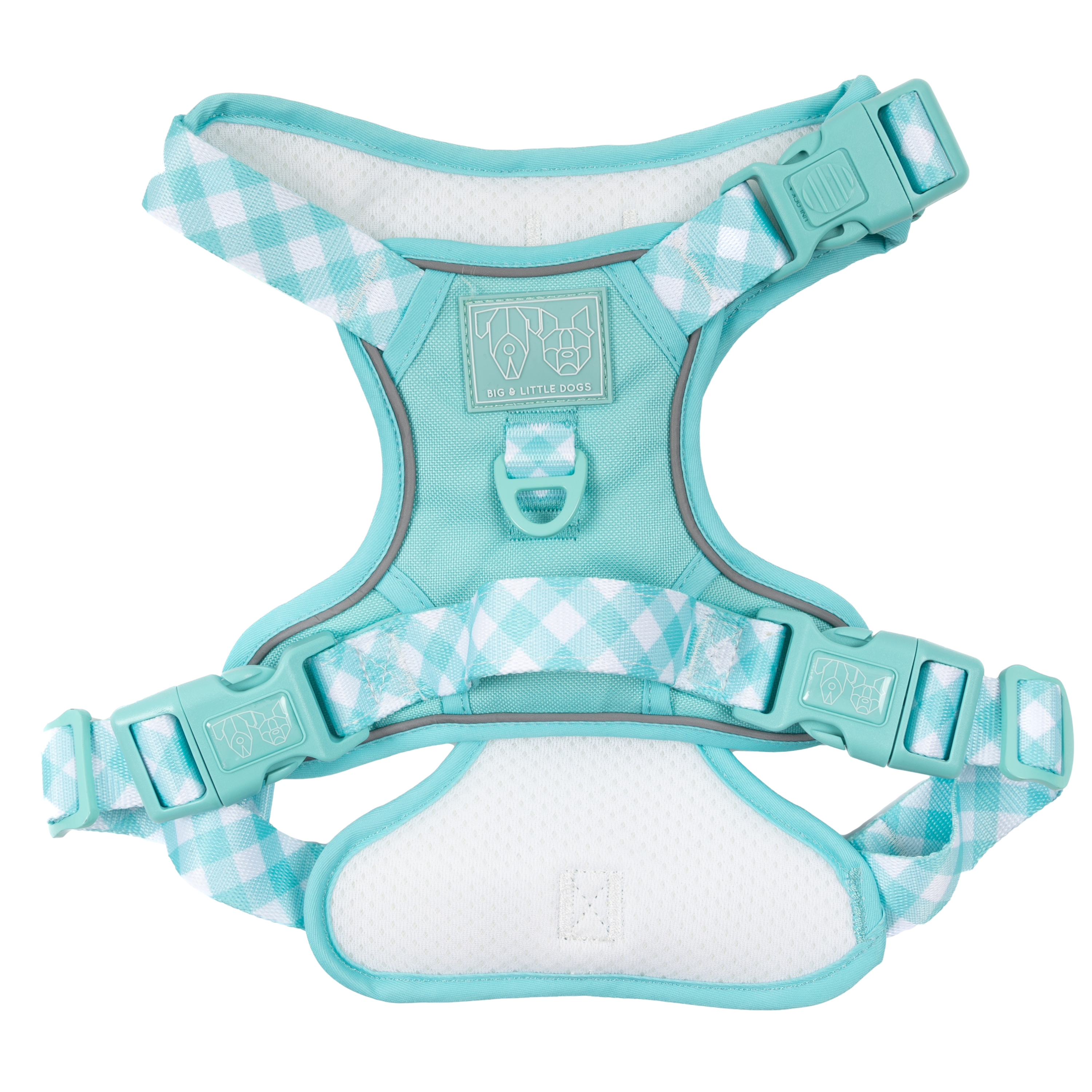 Big & Little Dogs All Rounder Harness - Aqua