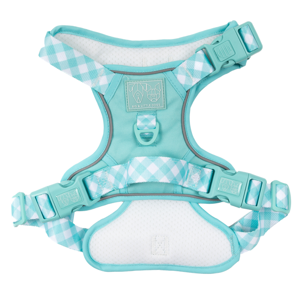 Big & Little Dogs All Rounder Harness - Aqua