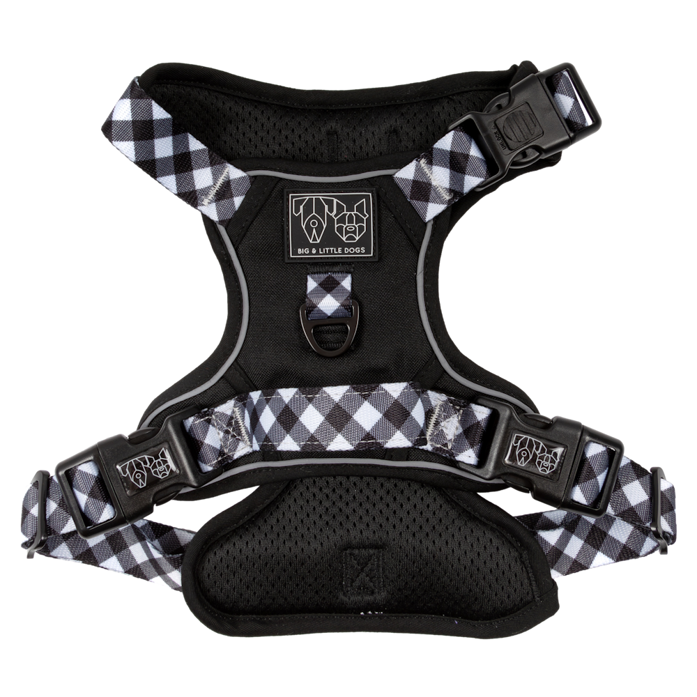 Big & Little Dogs All Rounder Harness - Black