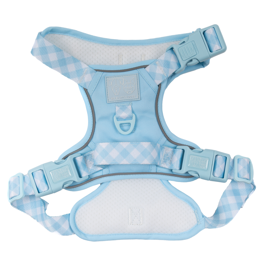 Big & Little Dogs All Rounder Harness - Blue