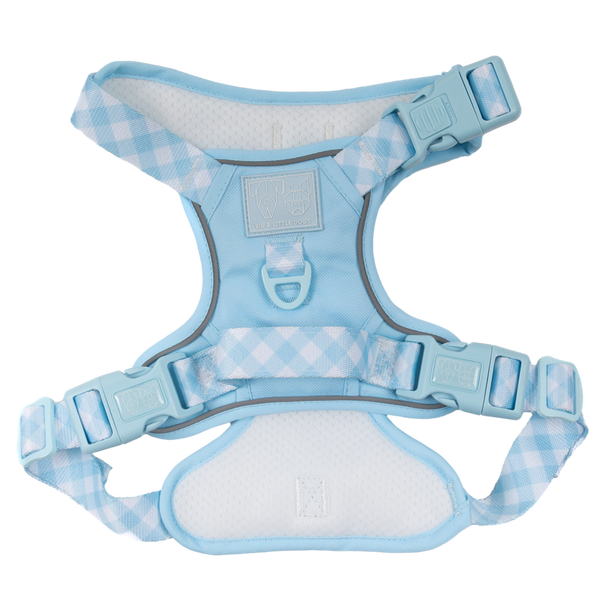 Big & Little Dogs All Rounder Harness - Blue