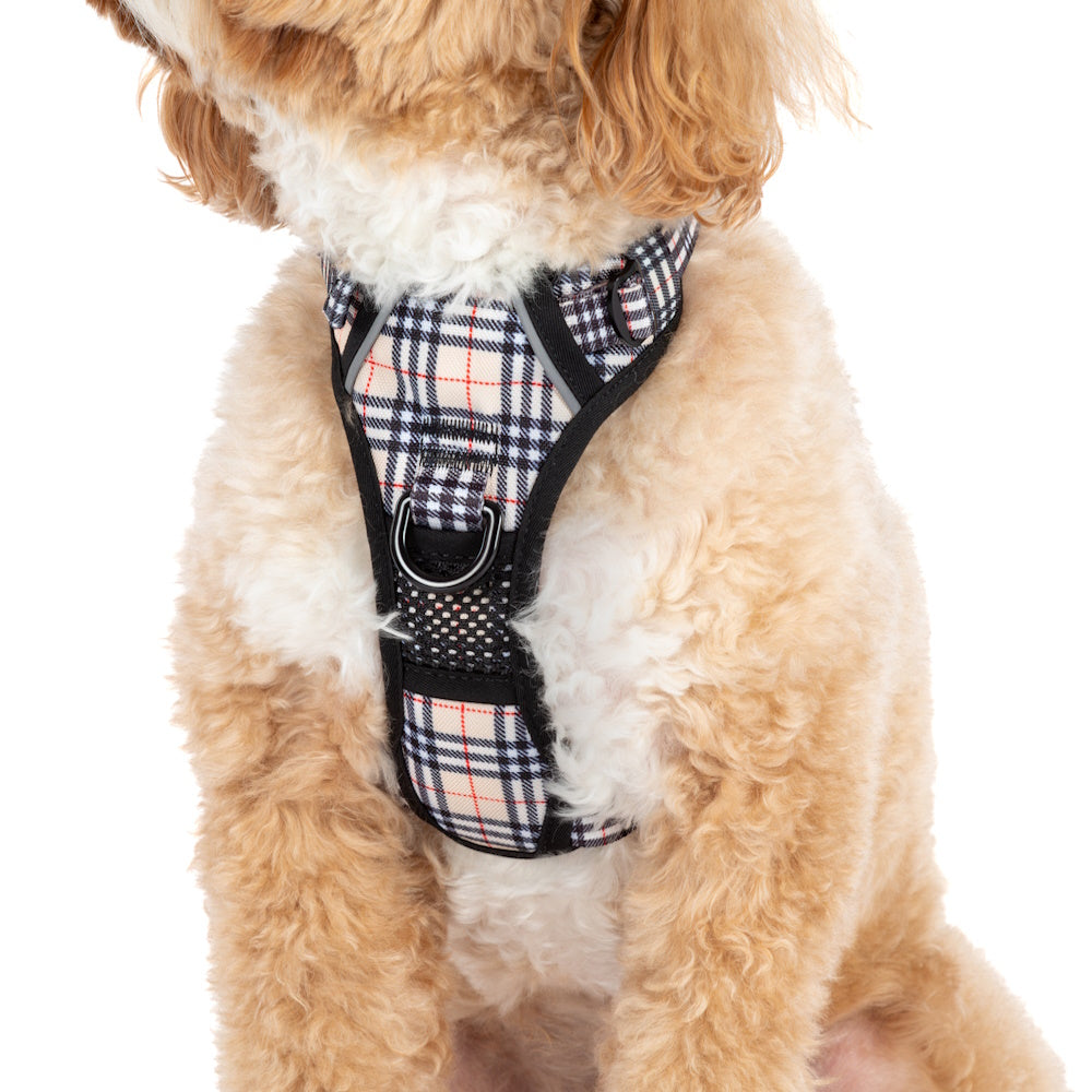 Big & Little Dogs Nova Plaid All Rounder Harness