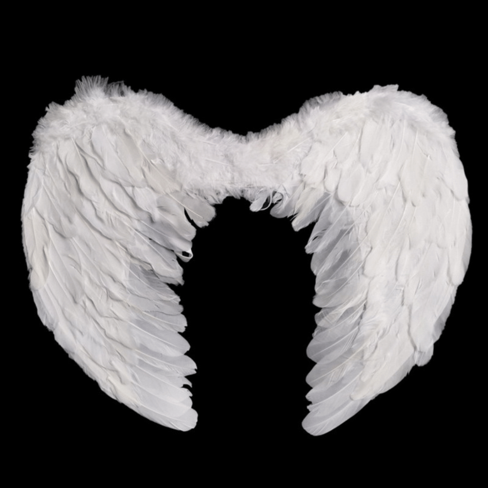 Angel Wings Dog Costume